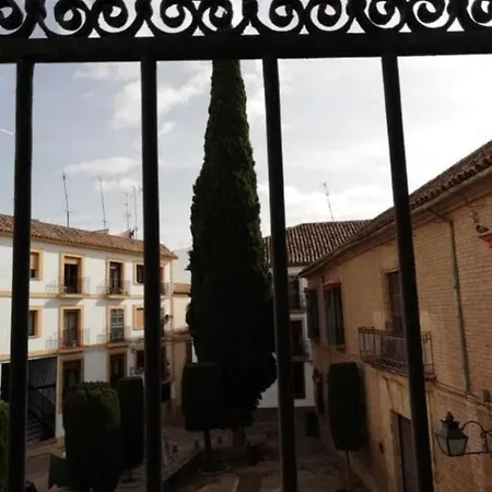Hotel Plateros *