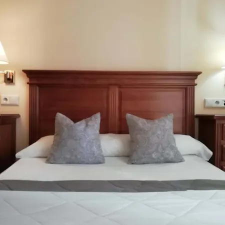 Hotel Plateros *