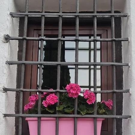Hotel Plateros *