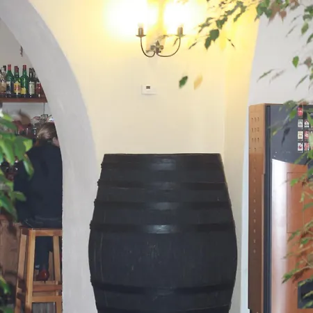 Hotel Plateros *