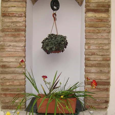 Plateros Cordoba