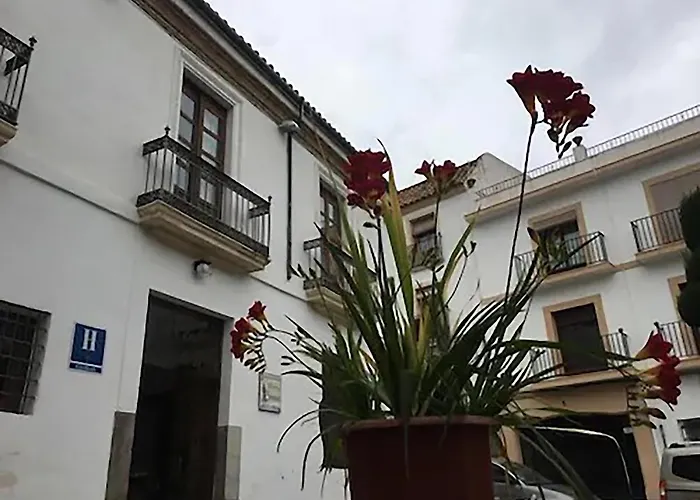 酒店 普拉特罗斯酒店 *